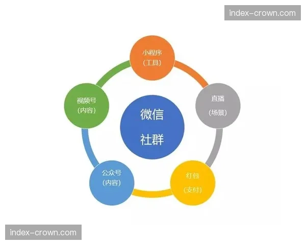 社群运营模式在当前周期内通过精细化内容分发增强了黏性