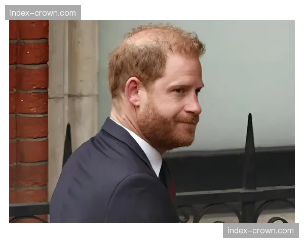 国王暂时陷入奢侈税境地 未来需寻找削减开支机会